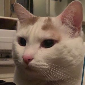 Meet your Posher, Bryan